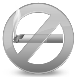 Disabled No Smoking Icon 256x256 png